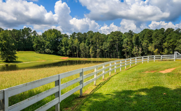 Newnan