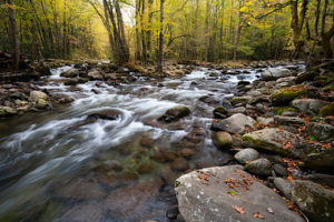 River in Cleveland, TN