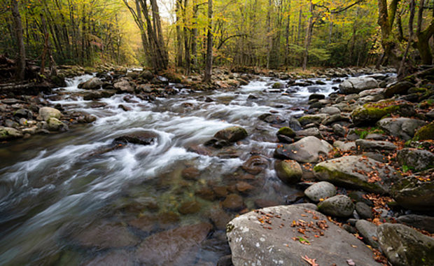 River in Cleveland, TN